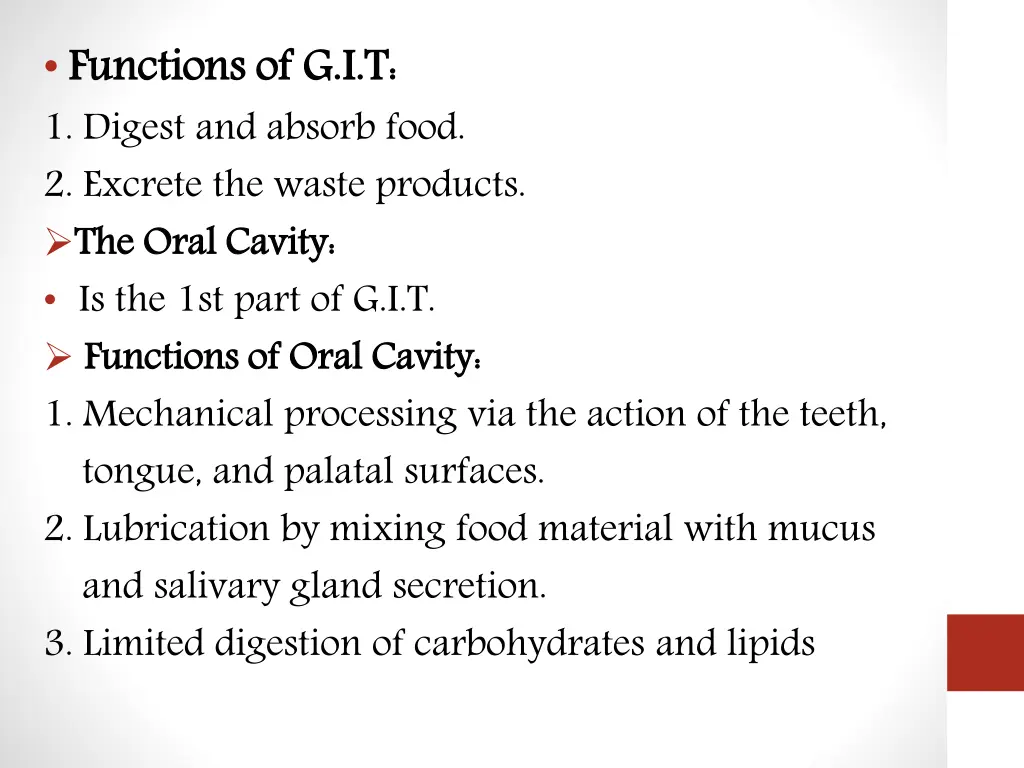functions 1 digest and absorb food 2 excrete