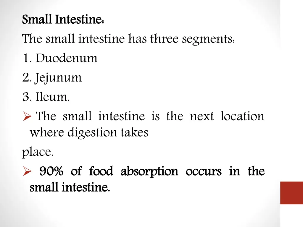 small the small intestine has three segments