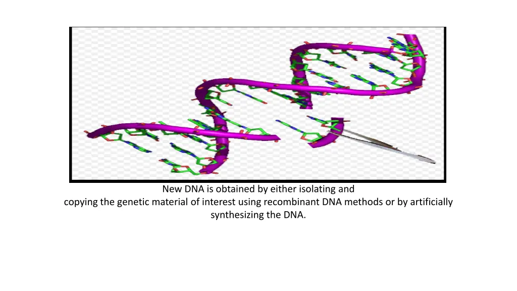 new dna is obtained by either isolating and