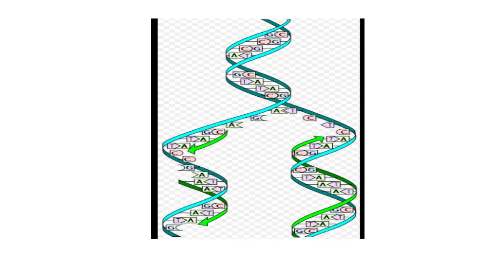 slide6