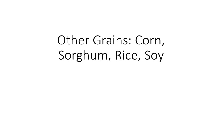 other grains corn sorghum rice soy
