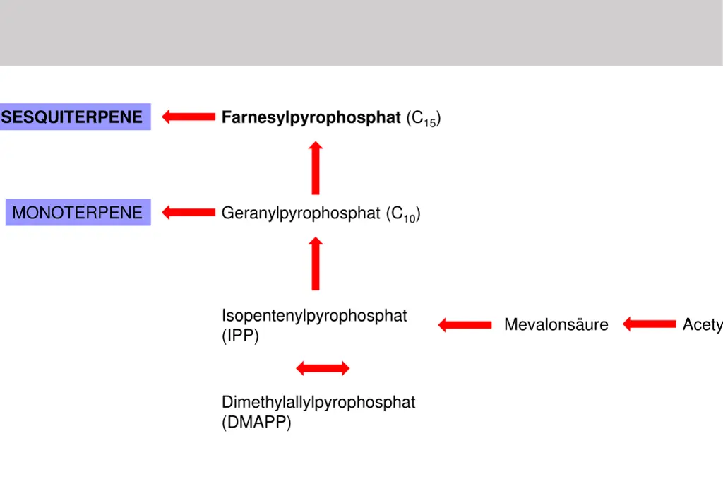 farnesylpyrophosphat c 15