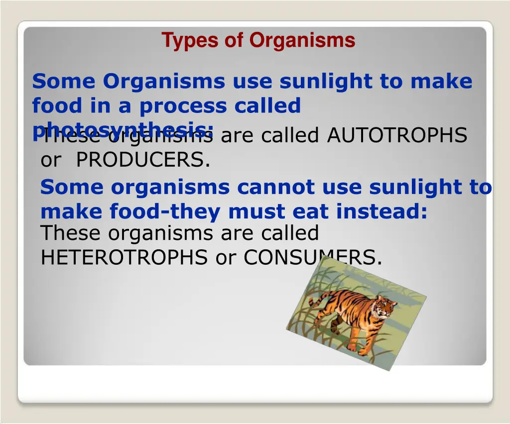 types of organisms