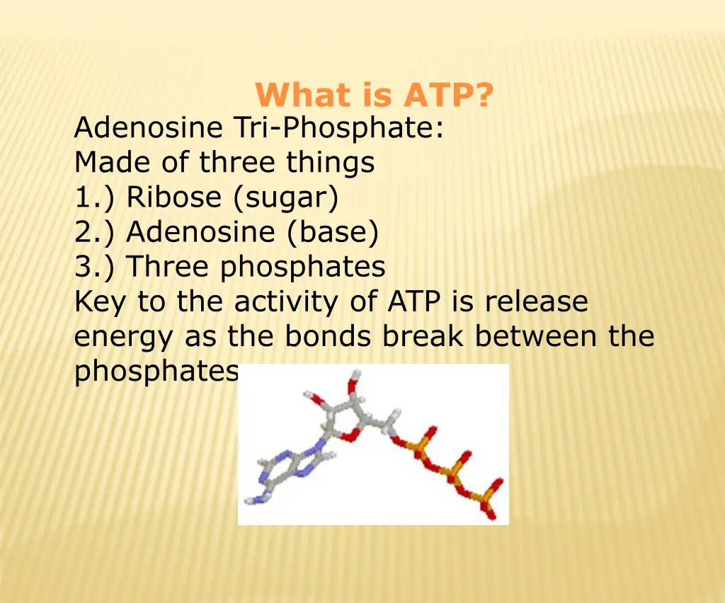 what is atp