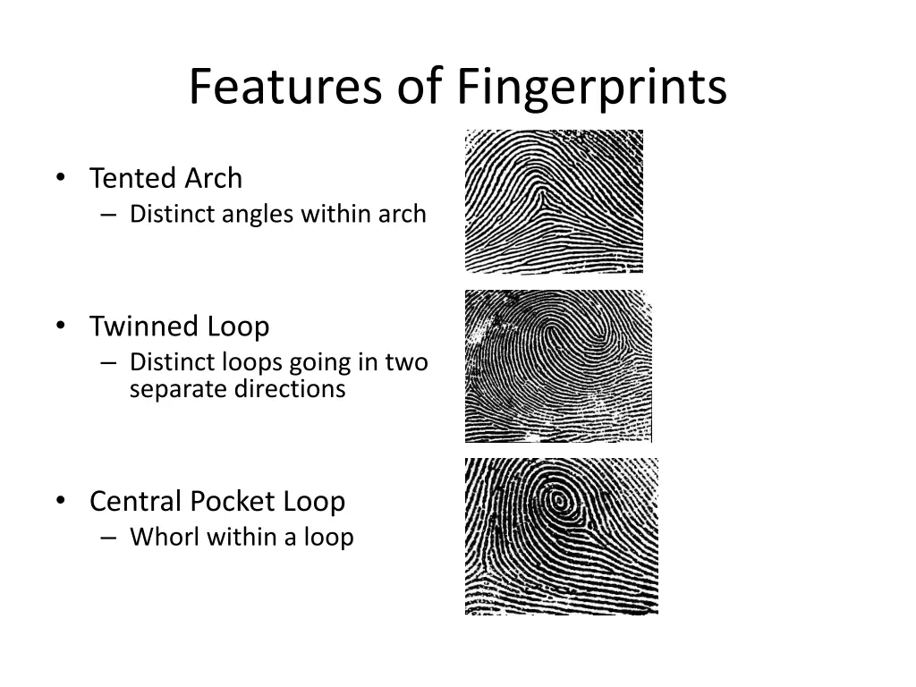 features of fingerprints 1