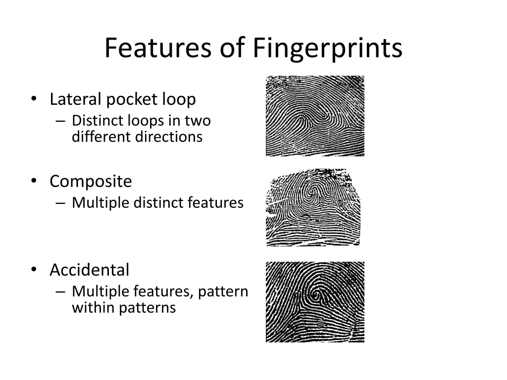 features of fingerprints 2