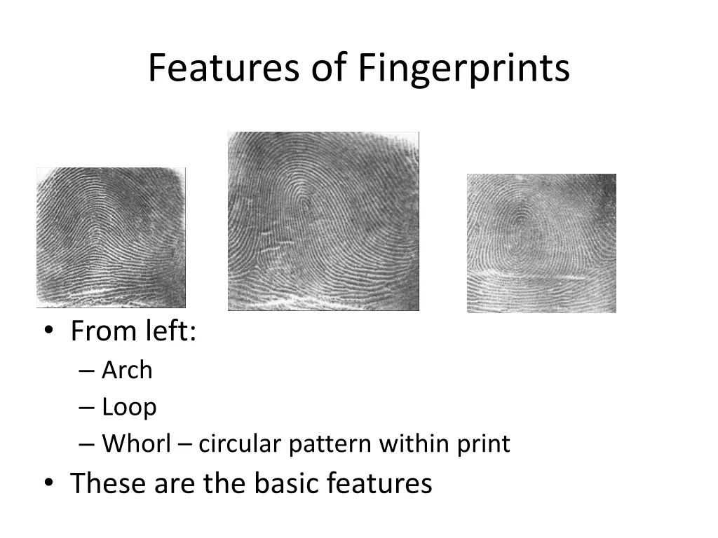 features of fingerprints
