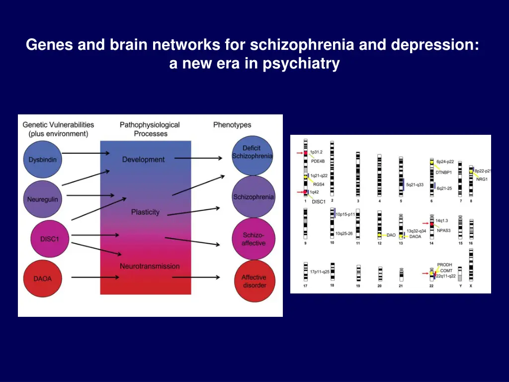 genes and brain networks for schizophrenia