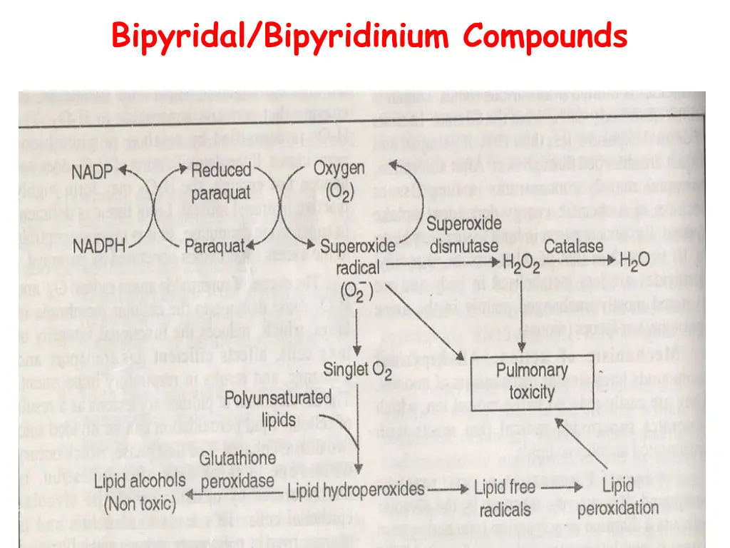 bipyridal bipyridinium compounds