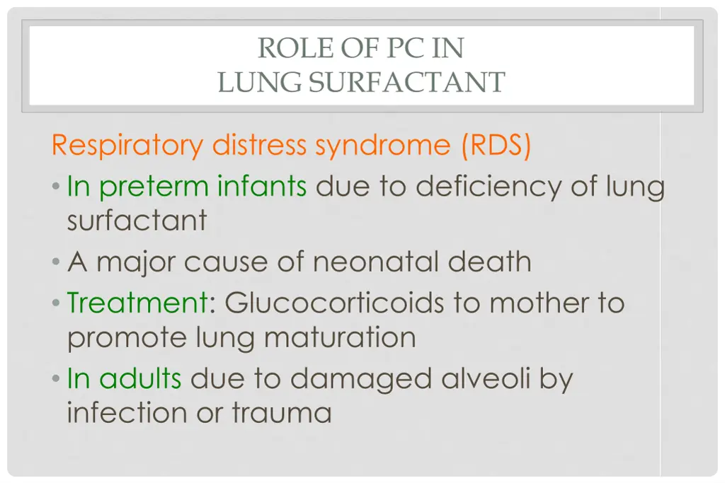role of pc in lung surfactant 2