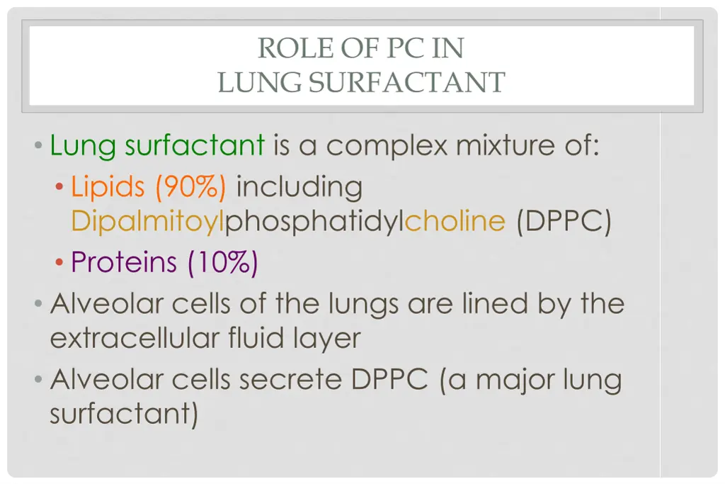 role of pc in lung surfactant