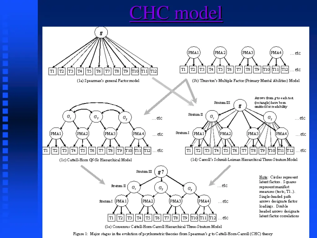 chc model
