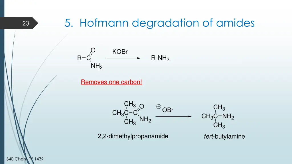 5 hofmann degradation of amides
