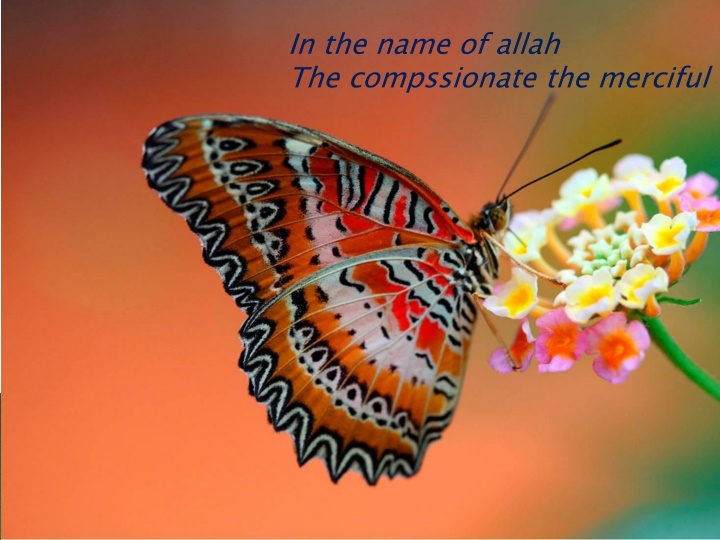 in the name of allah the compssionate the merciful