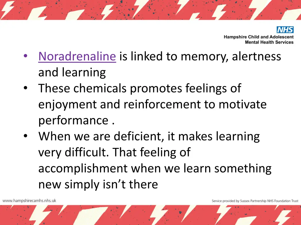 noradrenaline is linked to memory alertness