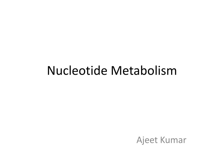 nucleotide metabolism