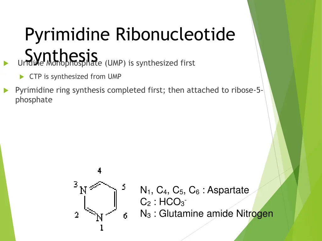 pyrimidine ribonucleotide synthesis uridine