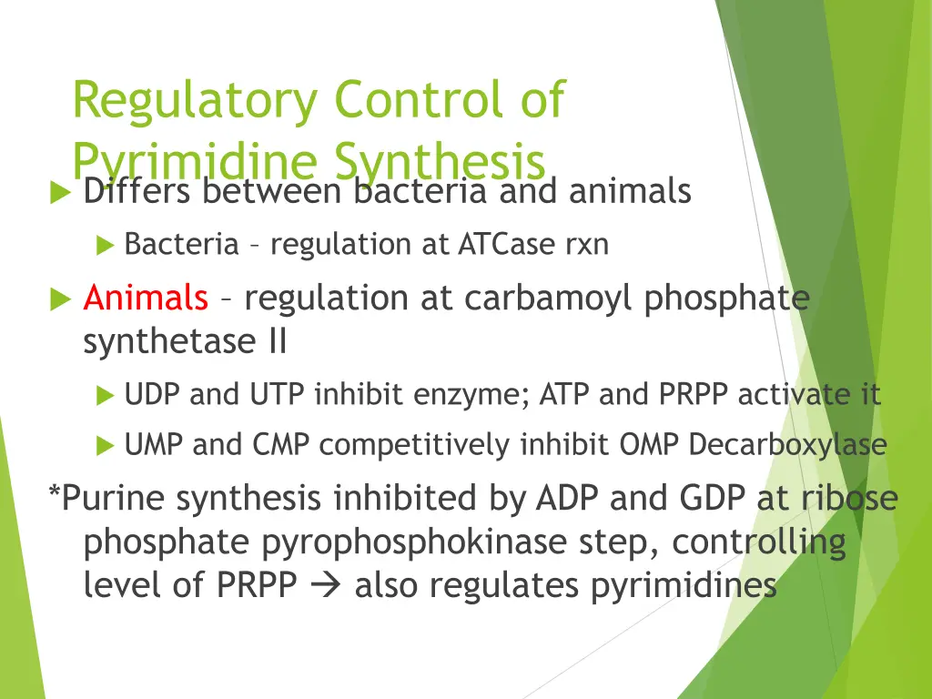regulatory control of pyrimidine synthesis