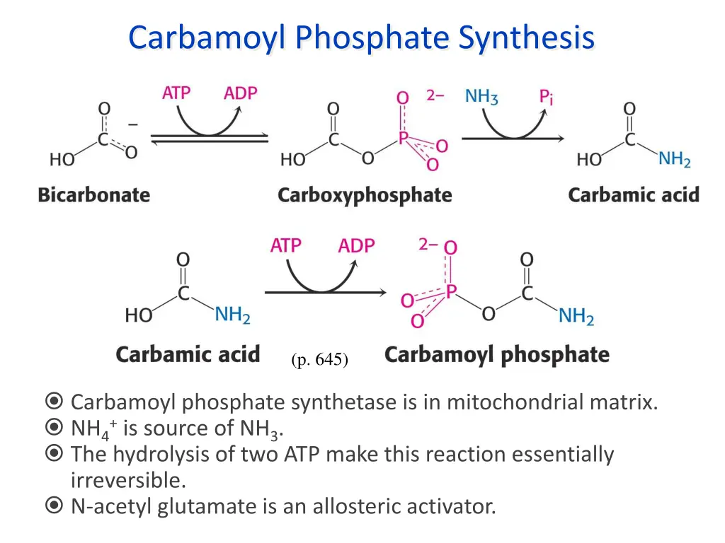 carbamoyl phosphate synthesis