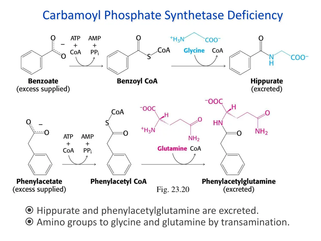 carbamoyl phosphate synthetase deficiency