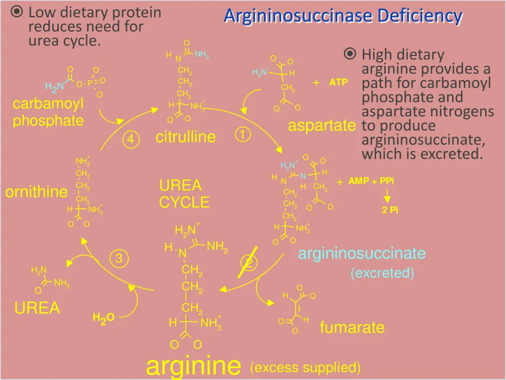 low dietary protein reduces need for urea cycle