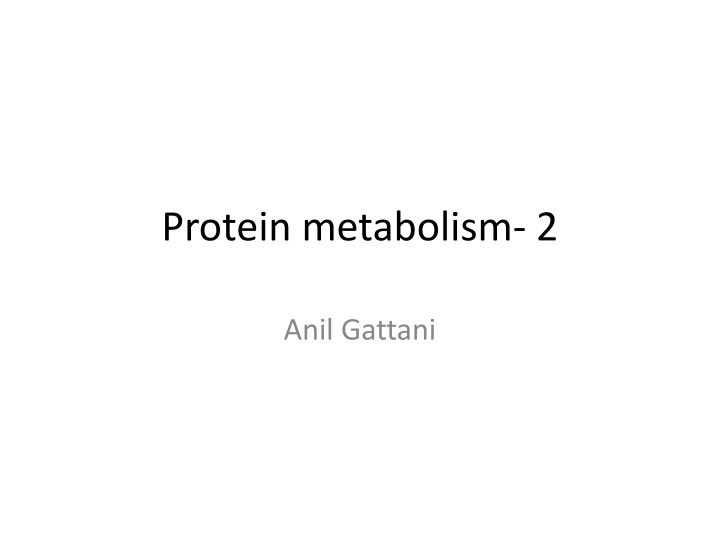 protein metabolism 2