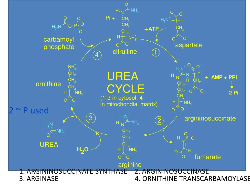 slide14