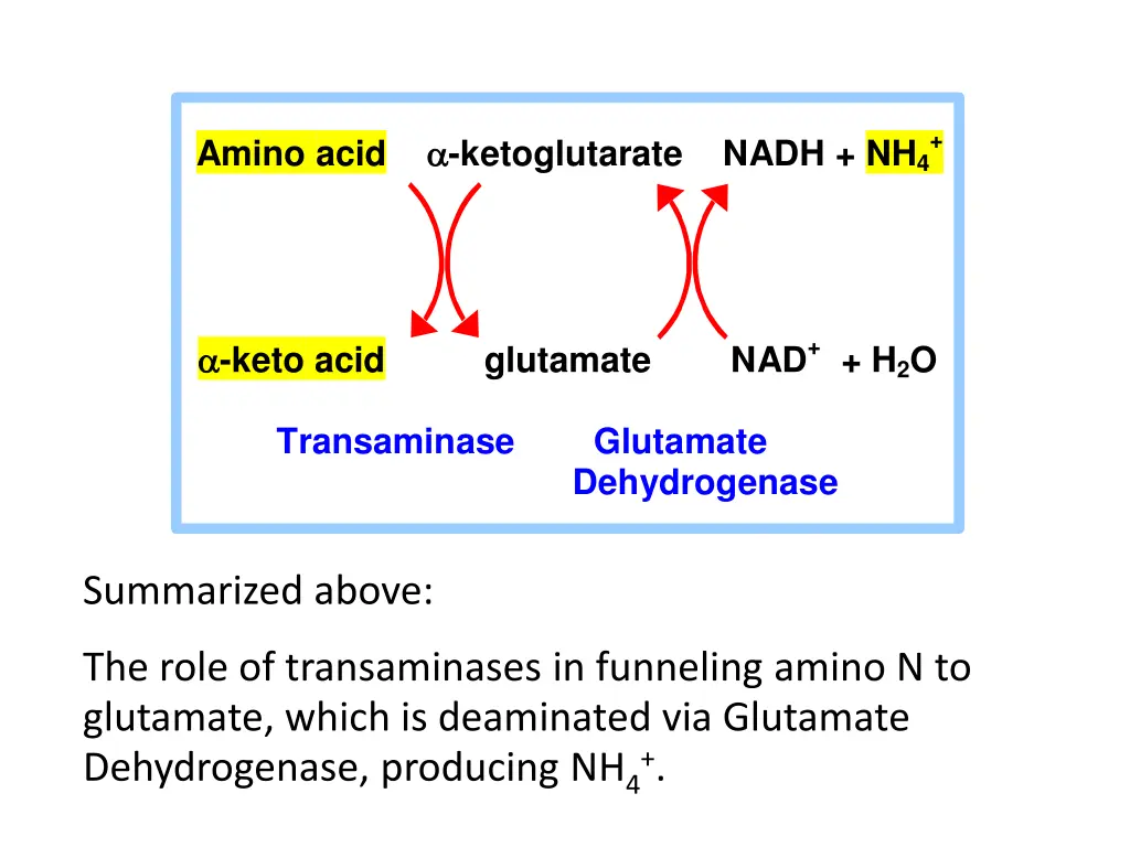 slide6