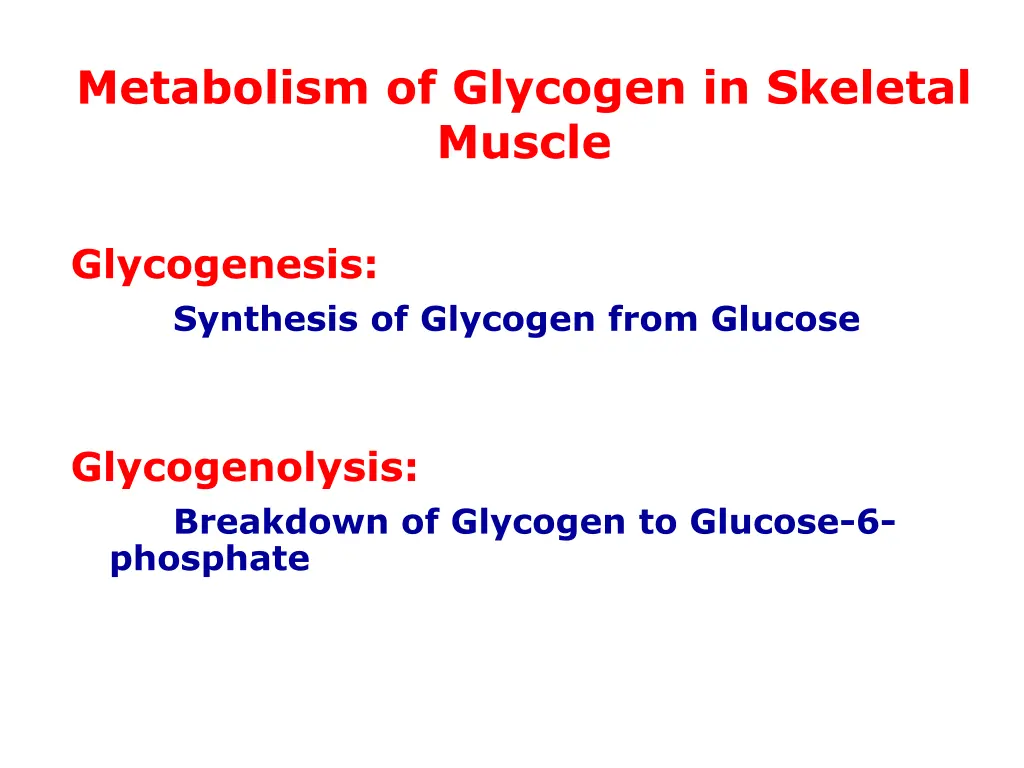 metabolism of glycogen in skeletal muscle
