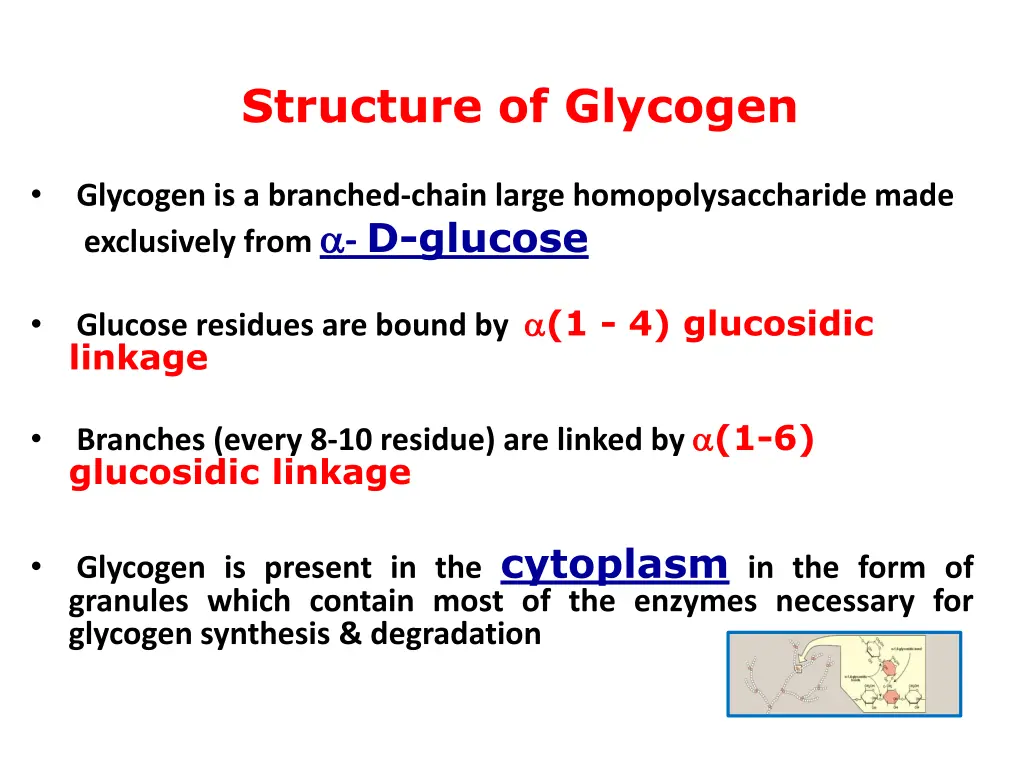 structure of glycogen