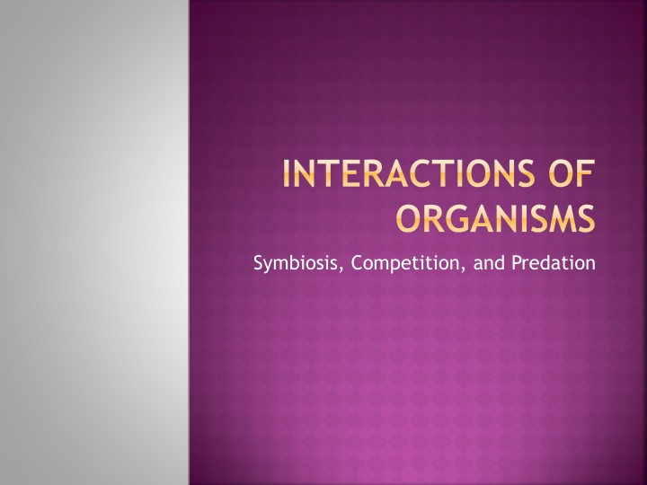 interactions of organisms