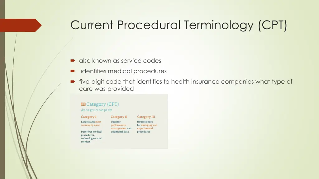 current procedural terminology cpt
