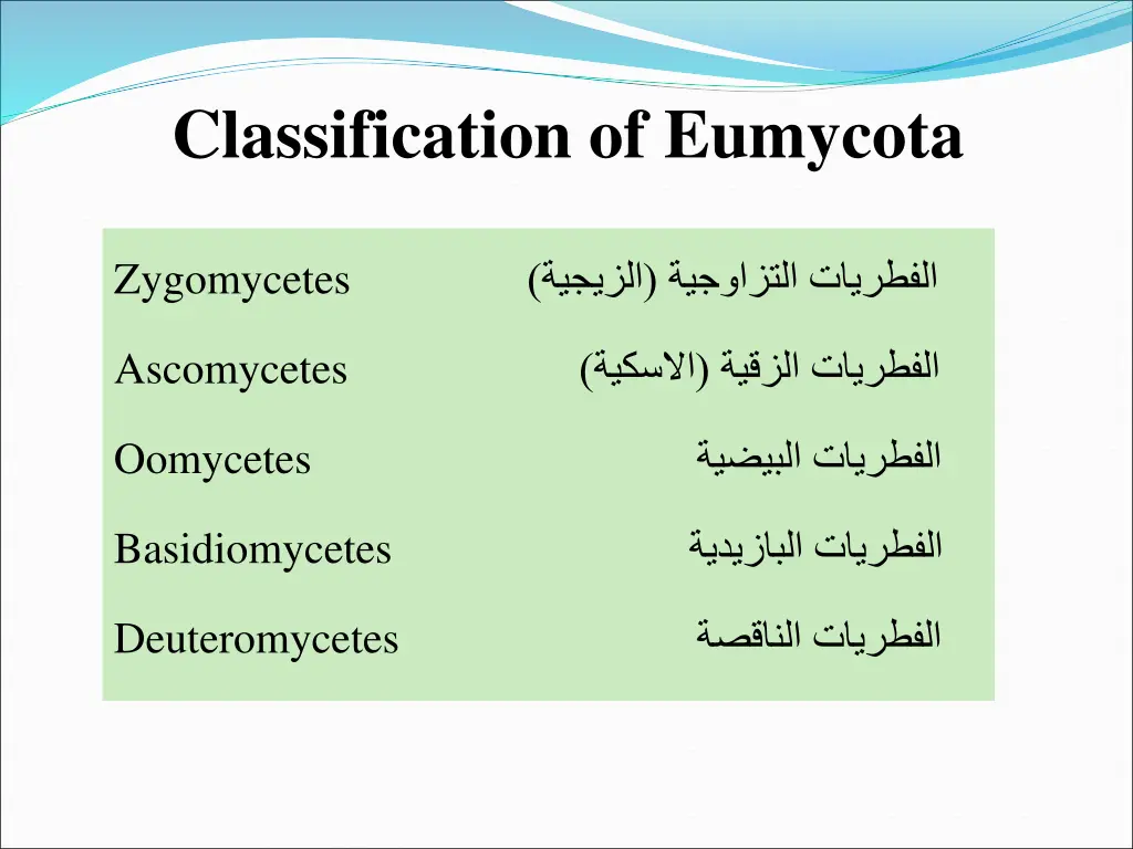 classification of eumycota