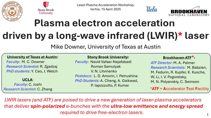 laser plasma acceleration workshop ischia