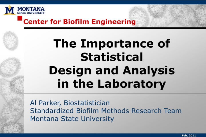 center for biofilm engineering
