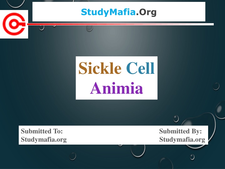 studymafia org