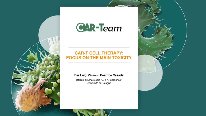 car t cell therapy focus on the main toxicity