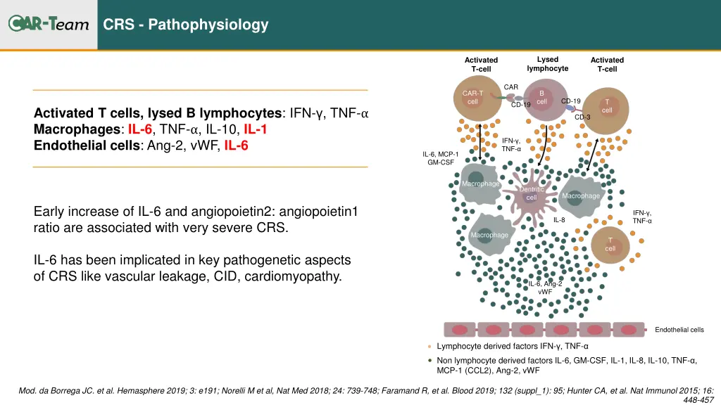 crs pathophysiology