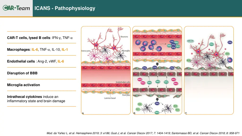 icans pathophysiology