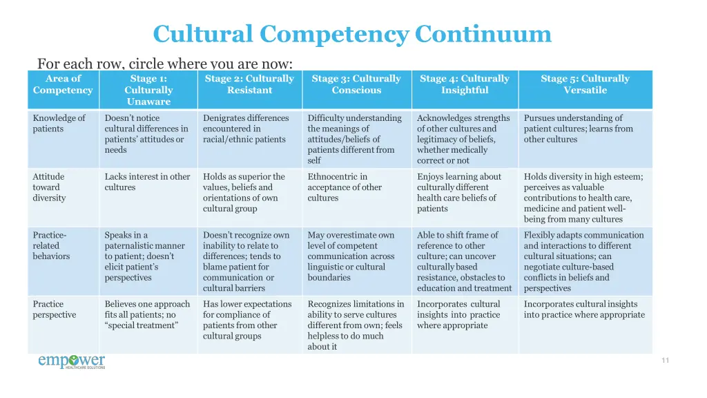 cultural competency continuum