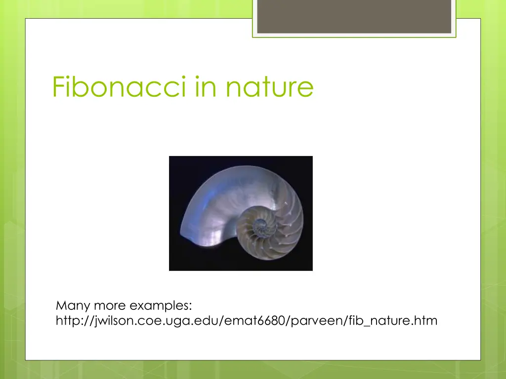 fibonacci in nature