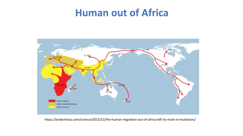 human out of africa