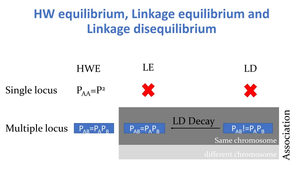 hw equilibrium linkage equilibrium and linkage