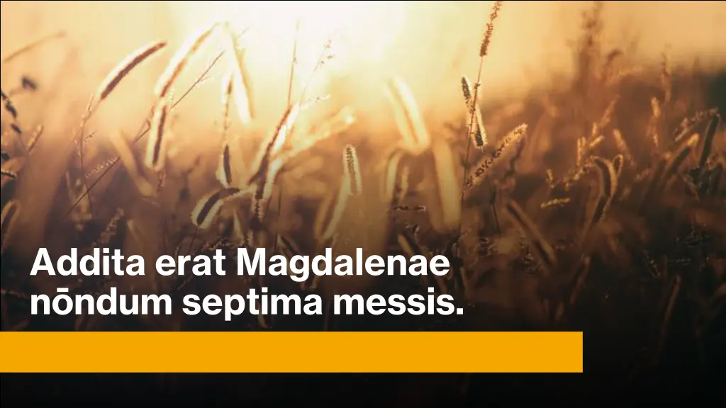 addita erat magdalenae n ndum septima messis