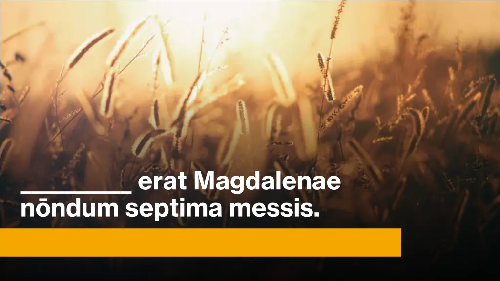 erat magdalenae n ndum septima messis