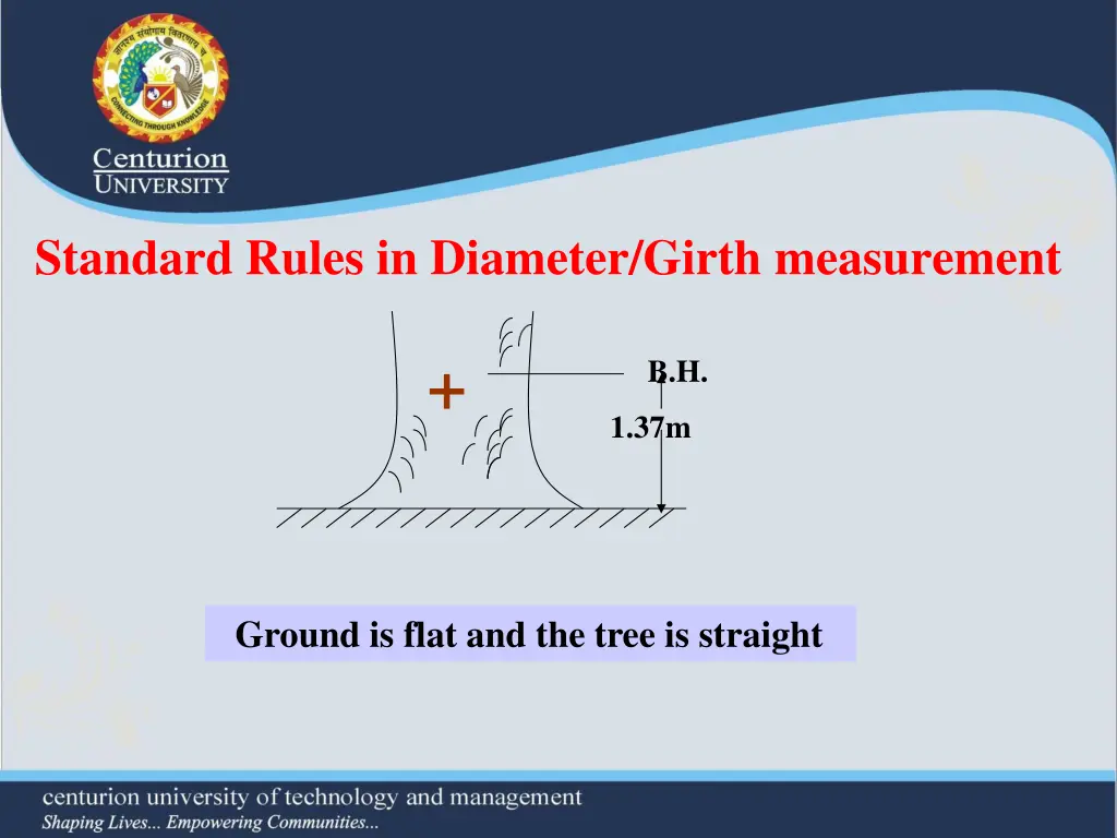 standard rules in diameter girth measurement 2