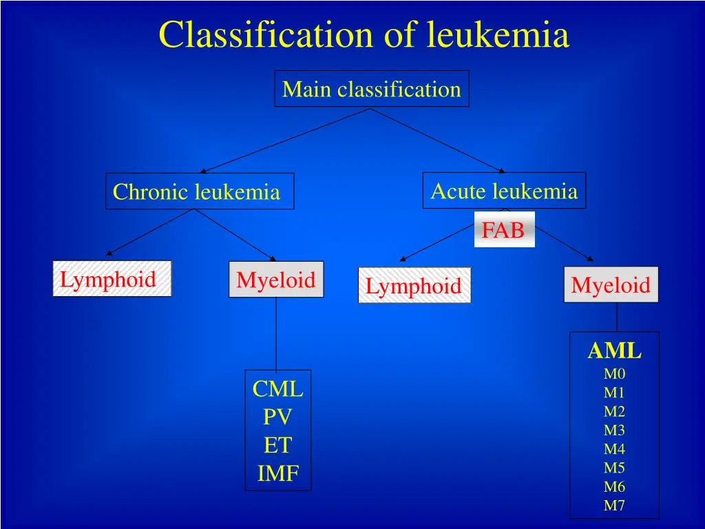 classification of leukemia