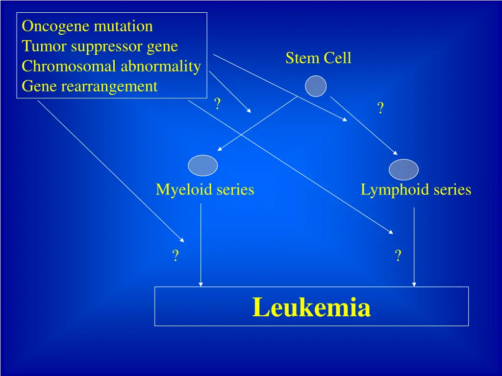 oncogene mutation tumor suppressor gene