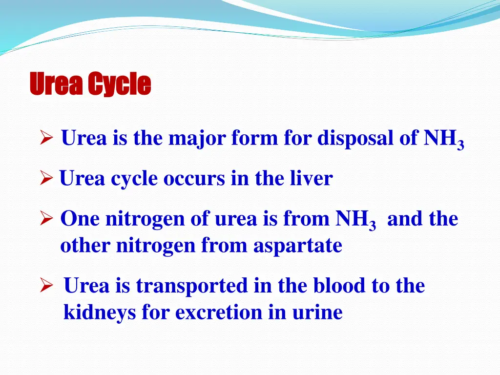 urea cycle urea cycle 1