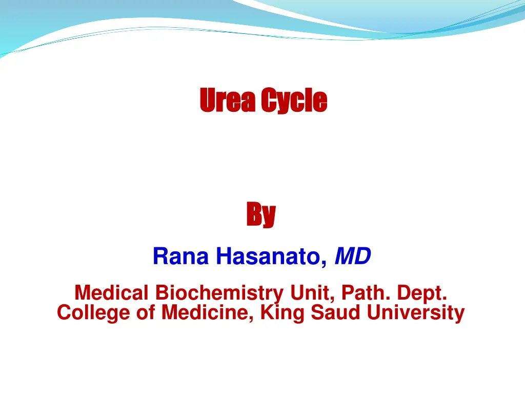 urea cycle urea cycle